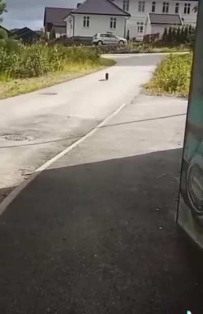 Getting an earful for being late