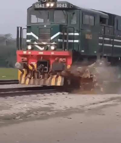 [GORE/ЖЕСТЬ] Поезд вдарил по ослу