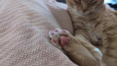 No tickle the toes!