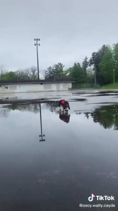 Playing in puddles