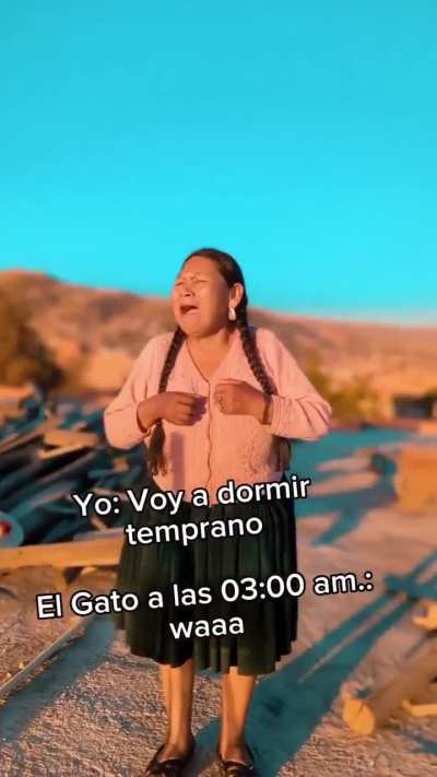 XD