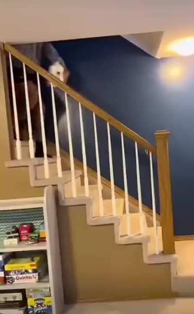 &eth;&yen;