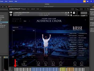 SECRET SONG ON THE JACOB COLLIER AUDIENCE CHOIR PLUGIN??