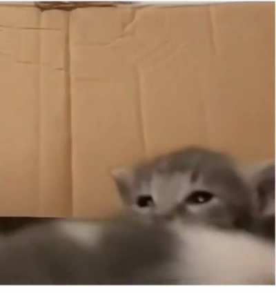 AHHHHHHHHHHHH