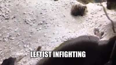 Sad