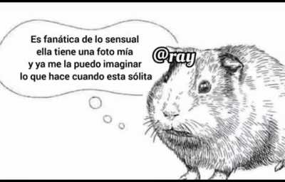 no se que poner