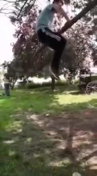 WCGW swinging on a tree branch