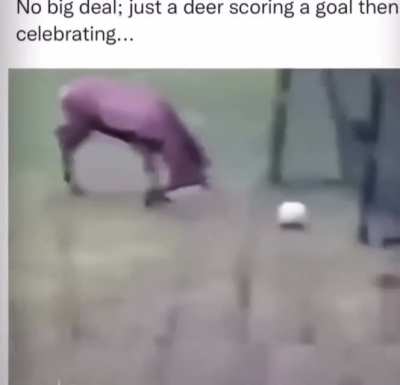 The goal celebration 🤣