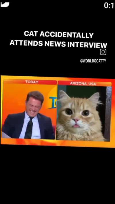 Of course he's orange