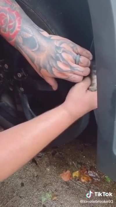 Despicable cat smuggler hides kitten in a car, it was later found to have suffocated 😭😭😭