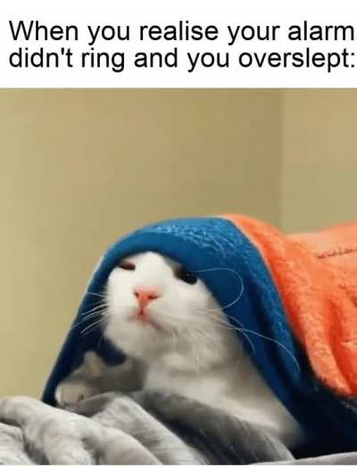 meirl