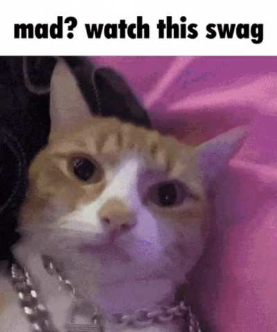 bling bling baby