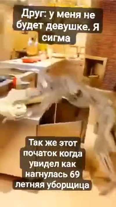 Terminator leak