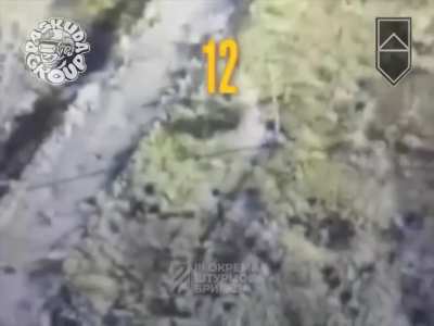 Destruction of 16 occupiers by FPV drones 🇺🇦 "Paskuda group" 🇺🇦 anti-tank battalion 🇺🇦 3rd OSHBr in Kharkiv region.