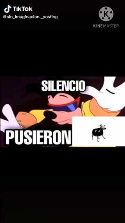 Rolon