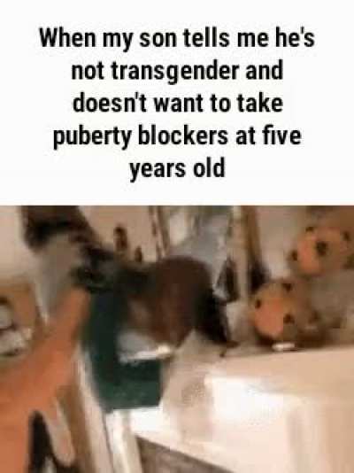 tranny go brrr