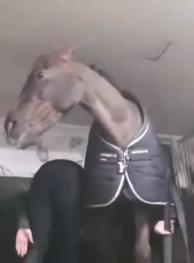 To sniff the booty