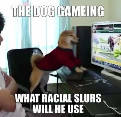 HE REALLY DO BE GAMEING DO,WHAT DOGE IS RACIST