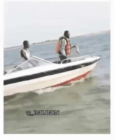 To throw fish back in the water