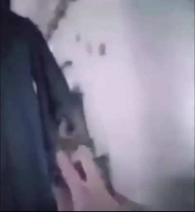 Insert title