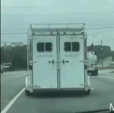 Caution horses