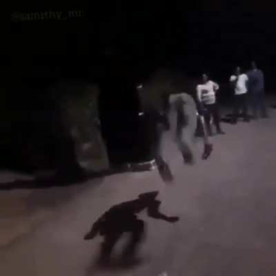 the ultra griddy 👌👈👈👈👈👈👈👈