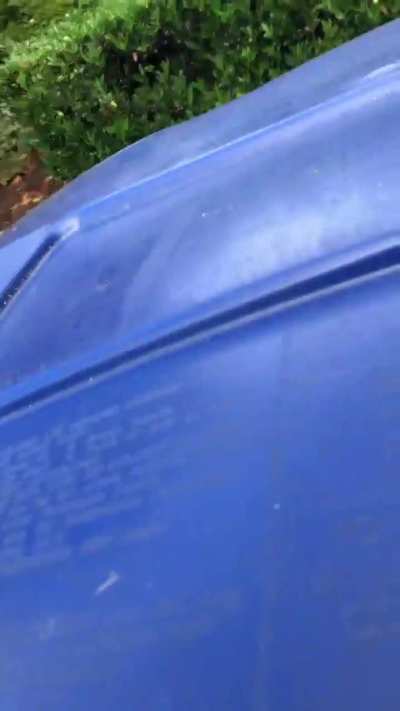 After asking a Vietnamese man if he's black, racist neighbor continues to harass while violating the space of a clearly marked property line.