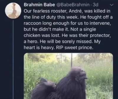 A real hero...
