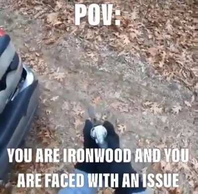 &ldquo;And if that don&rsquo;t work, then use more gun&rdquo;