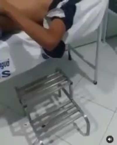 Apreciador m&eacute;dio de pitu&hellip;
