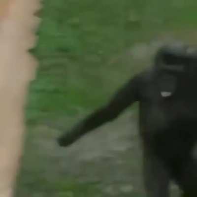 Gameplay de Wukong editada pelo Boiz&atilde;o