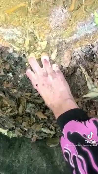 Blursed Gif