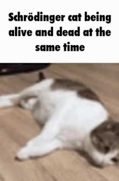 Rule