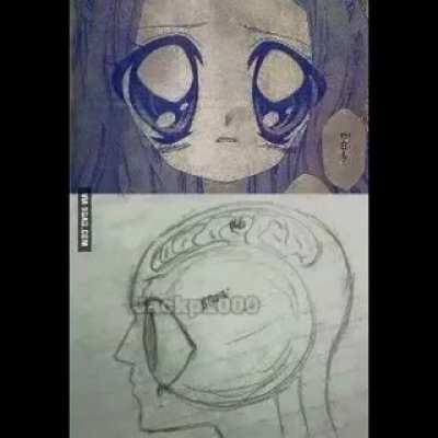 Muchas im&aacute;genes
