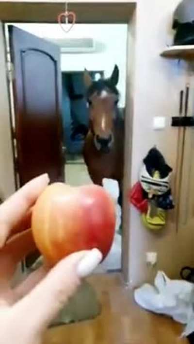 Яблоко