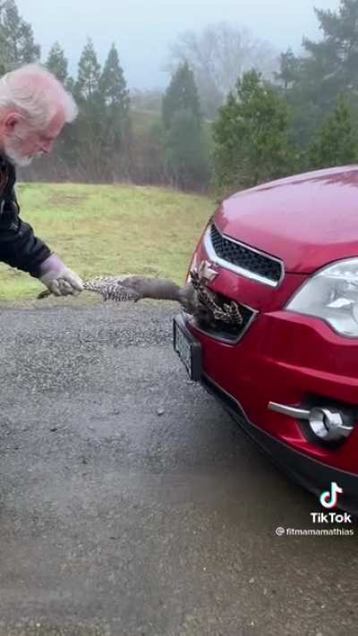 Guy pulls an obliterated turkey out of the grill of his daughter&rsquo;s car