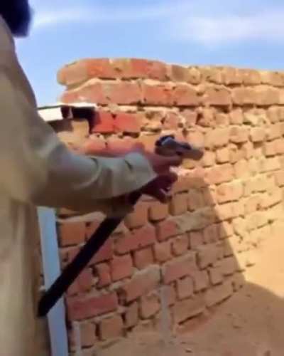 Вот это волына!