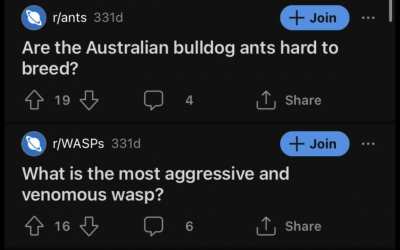 what is he planning