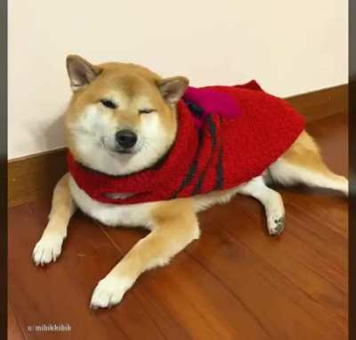 se que ya me tengo que despedir pero quer&iacute;a verlo por ultima vez :(