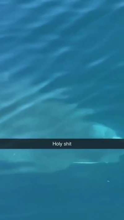 You gonna need a bigger boat