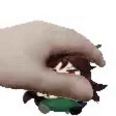 the okuu