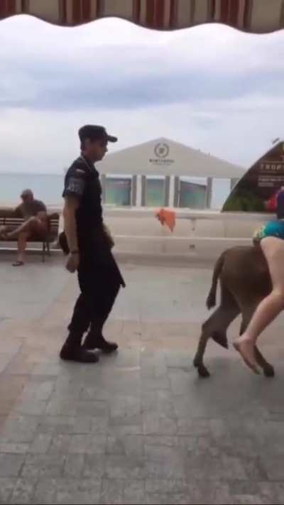 Maybe maybe maybe