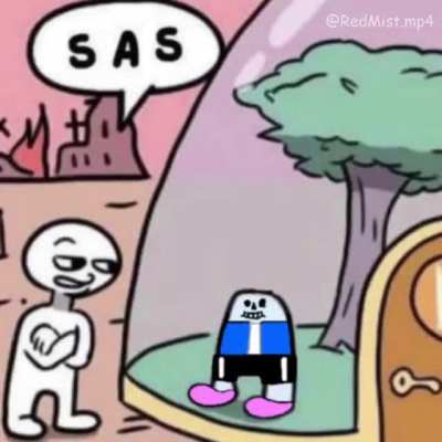 S A S