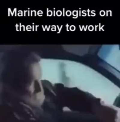 Day 146 of posting memes