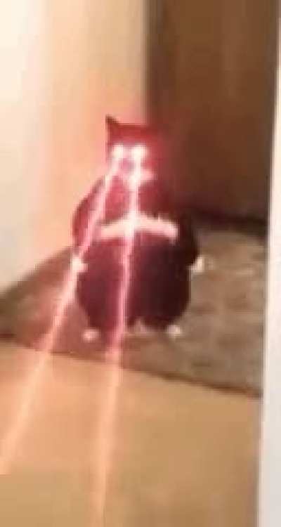 Die