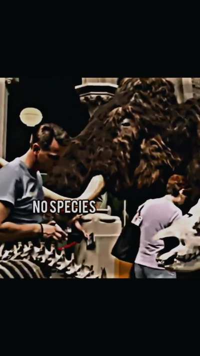 The Phrase "No Species Lasts Forever" Really Makes You Appreciate Life Both Then &amp; Now