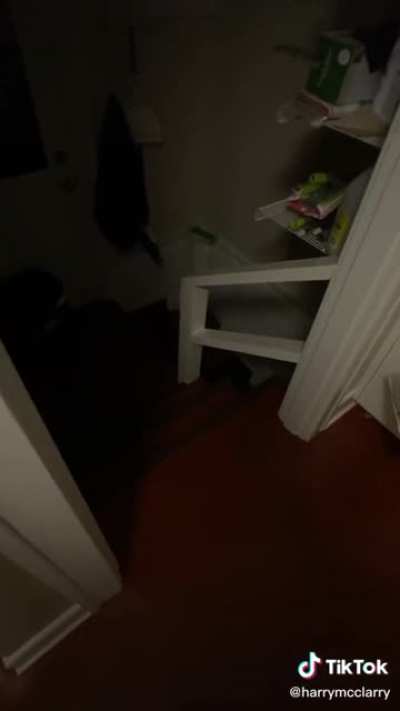 Something runs up the stairs