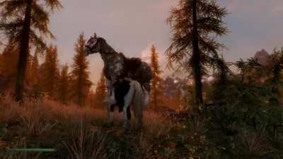 Ah yes... the majestic mating dance of the male draft horse. Quite the sight to behold.
