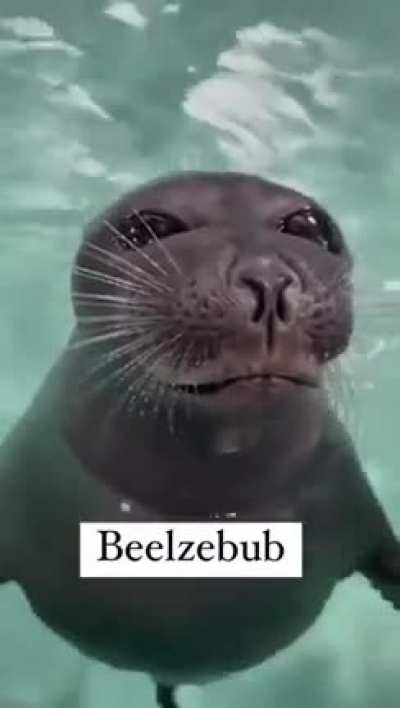Sunkus