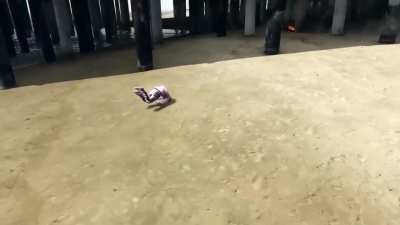 Worst stunts slams 